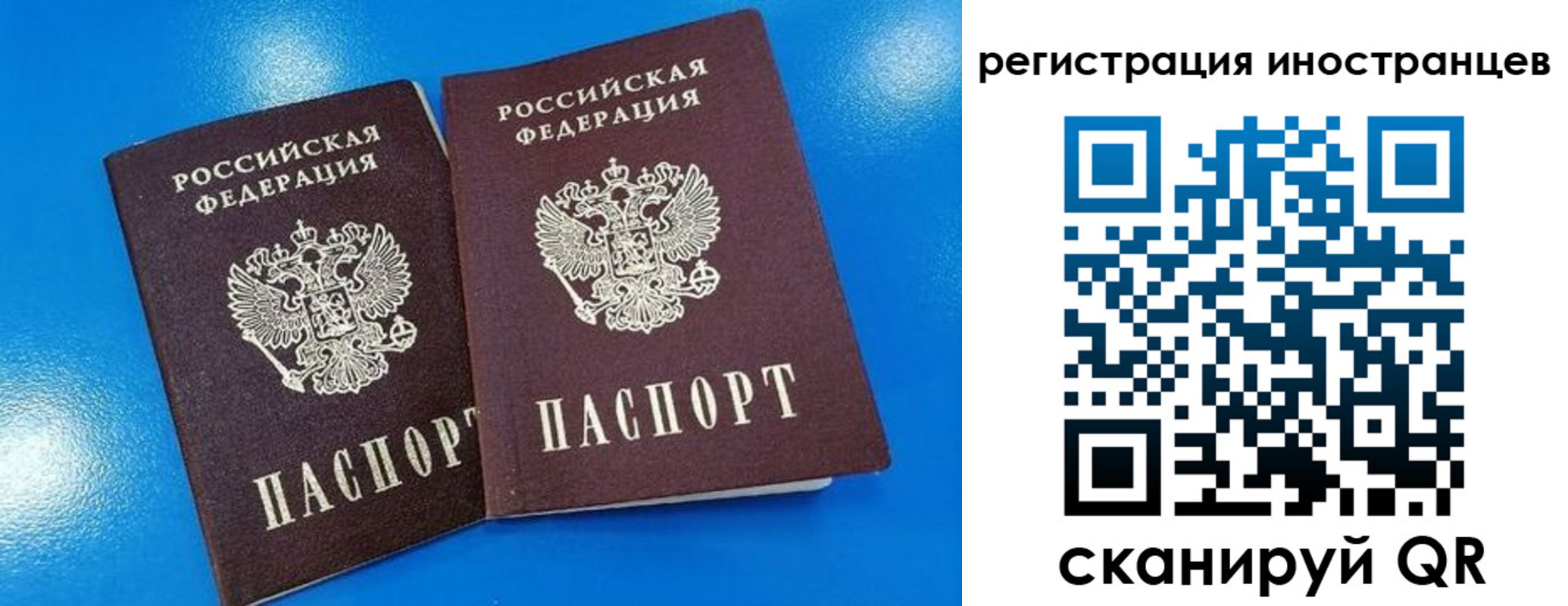 временная регистрация поиск в Зернограде