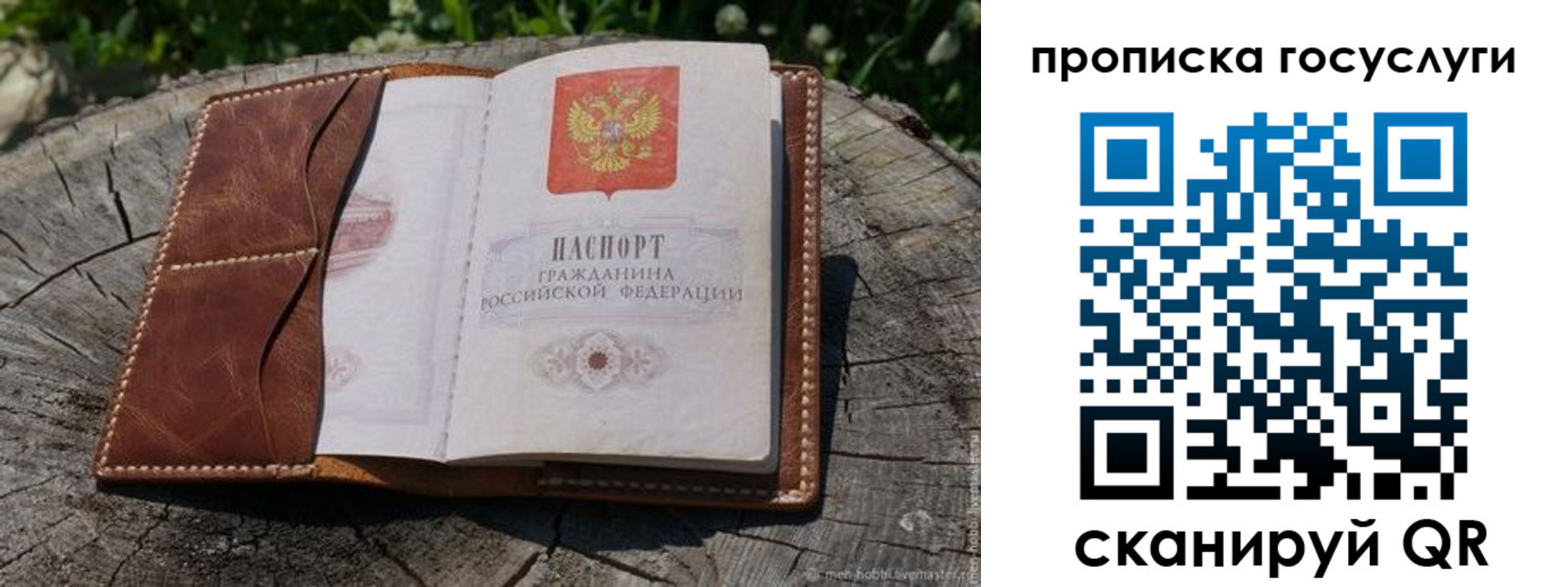 прописка для школы в Зернограде